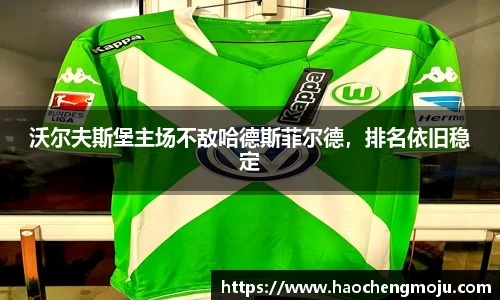沃尔夫斯堡主场不敌哈德斯菲尔德，排名依旧稳定