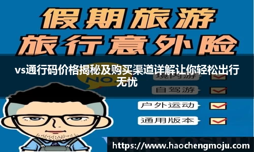 vs通行码价格揭秘及购买渠道详解让你轻松出行无忧