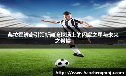 弗拉霍维奇引领新潮流球场上的闪耀之星与未来之希望